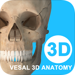 维萨里3d解剖教学软件v5.8.1 安卓版