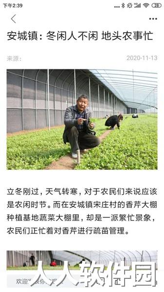 爱平阴app