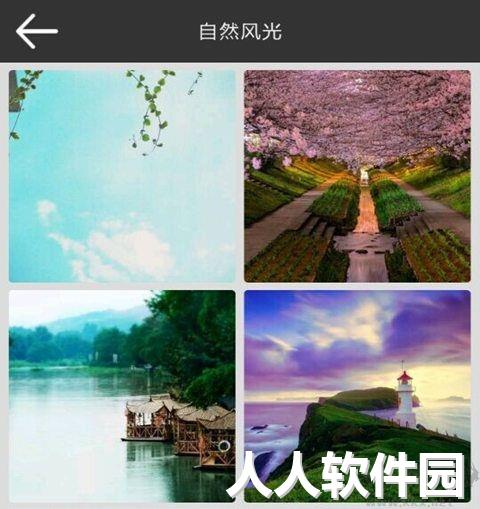 壁纸多多电脑版
