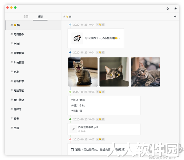 FocusNote专注笔记中文绿色免安装特别版