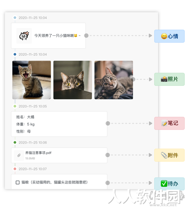 FocusNote专注笔记中文绿色免安装特别版