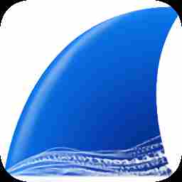 Wireshark Portable(网络抓包工具)