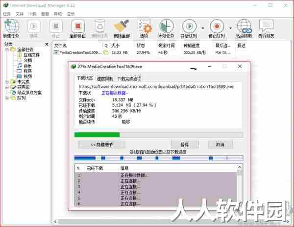 Internet Download Manager