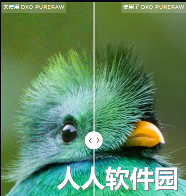 DxO PureRAW绿色便携版