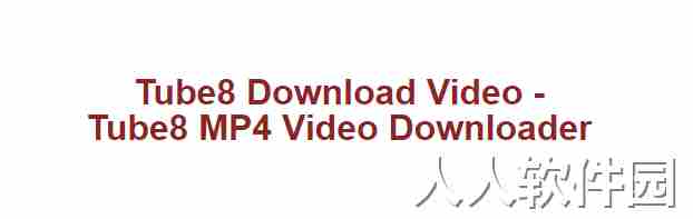 Tube8 video Downloader油管视频下载工具绿色纯净版