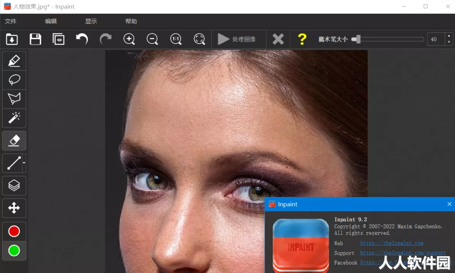 Teorex Inpaint绿色版