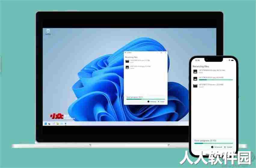 LocalSend(局域网传输工具)