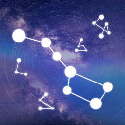 紫薇斗数手机版v2.1.1 安卓版