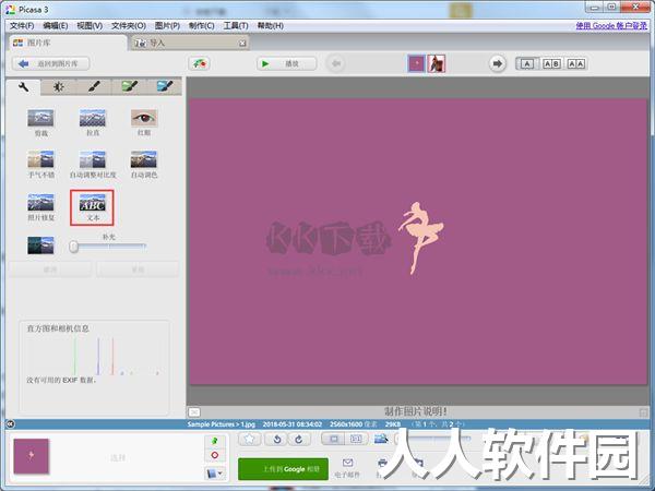 Google Picasa中文版
