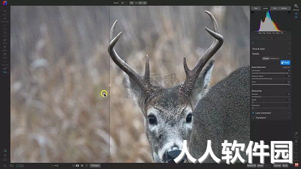 ON1 Photo RAW 2024官方版