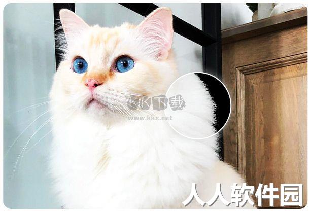 傲软抠图PC高级解锁版