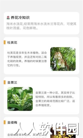 百花悦看app下载