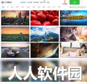 小鸟壁纸电脑版官网最新版