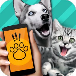 Pet Translator宠物对话翻译器v1.1 安卓版
