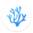 VSCodium(VS Code代码编辑器) v1.85.2 中文免费版