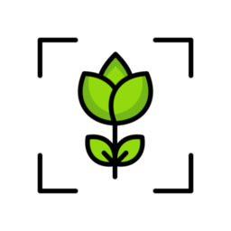 专注自律手机版v1.1.5 安卓版
