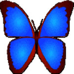 bkViewer pro电脑最新版 v7.6