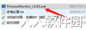 process monitor免安装2024