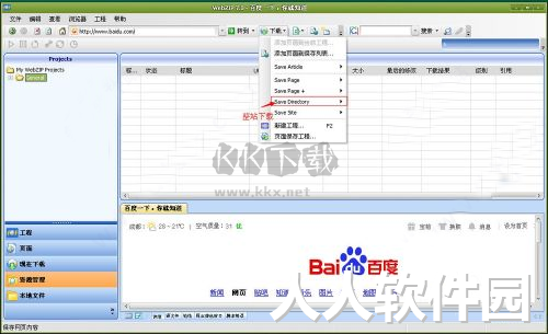 WebZip绿色版