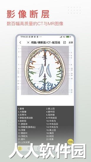 3dbody解刨手机版下载