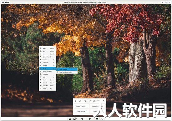 PicView图片浏览