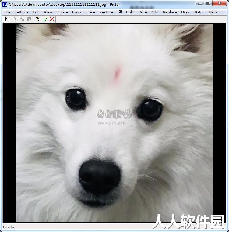 Pictor图片编辑免费版
