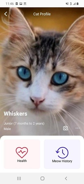 meowtalk安卓下载