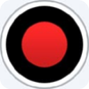 Bandicam(班迪录屏) v8.1.1