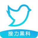 飞鸟下载器 v3.96最新版