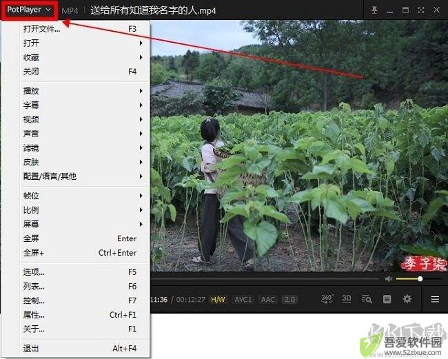 РotРlayer使用方法