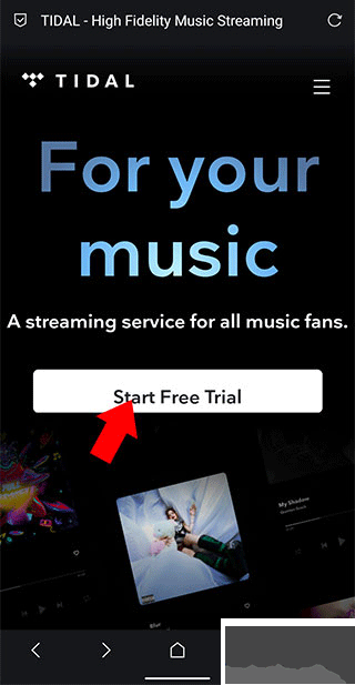Tidal音乐app