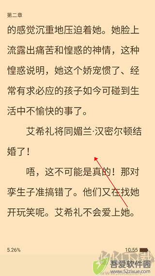 追书大师