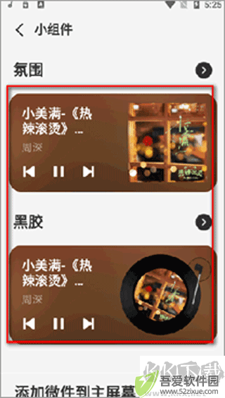 谜底黑胶