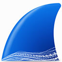 wireshark v4.4.8官方版