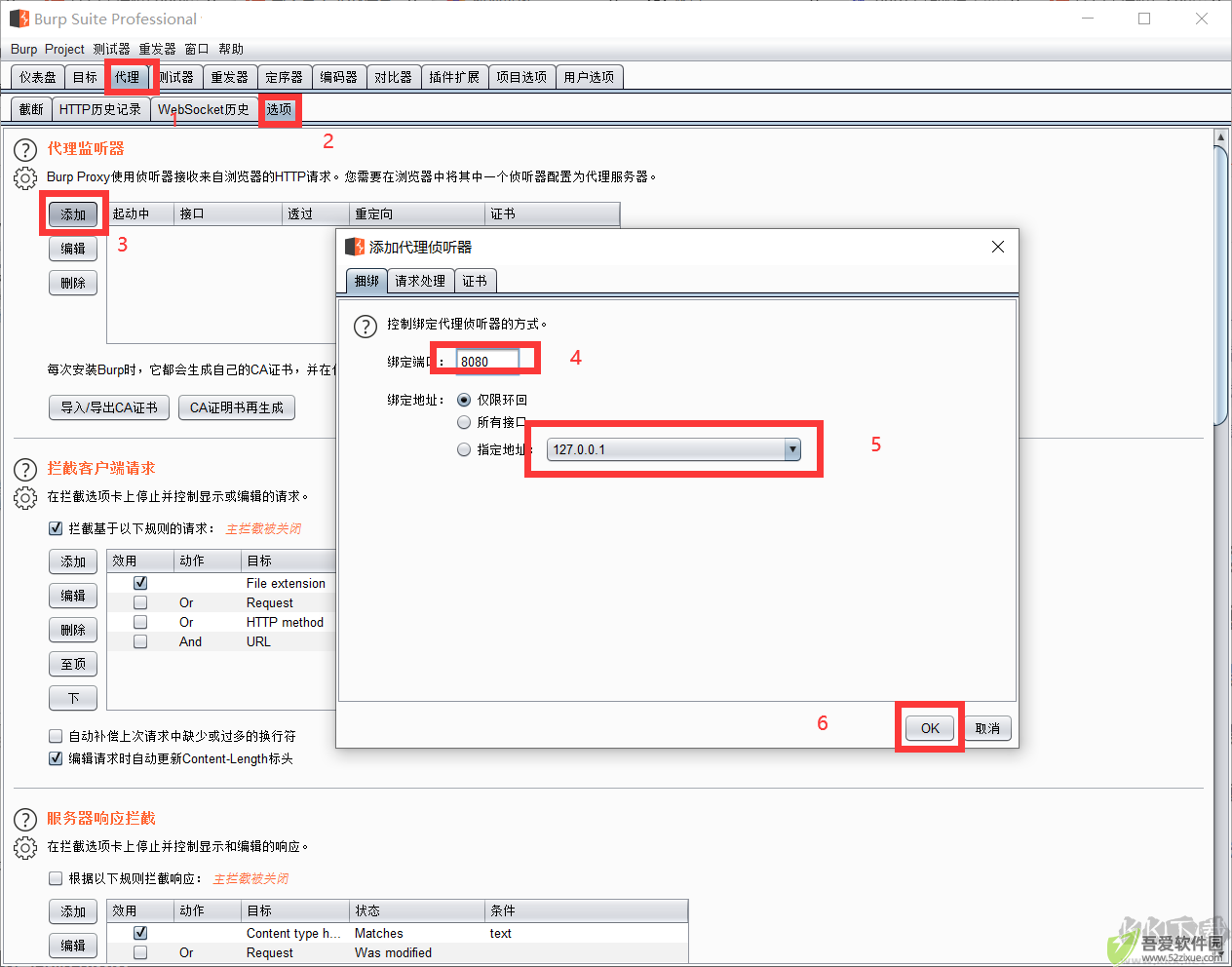 burp suite professional