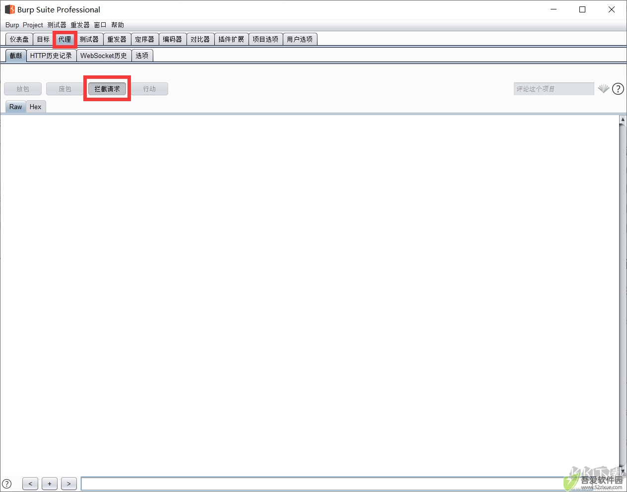 burp suite professional