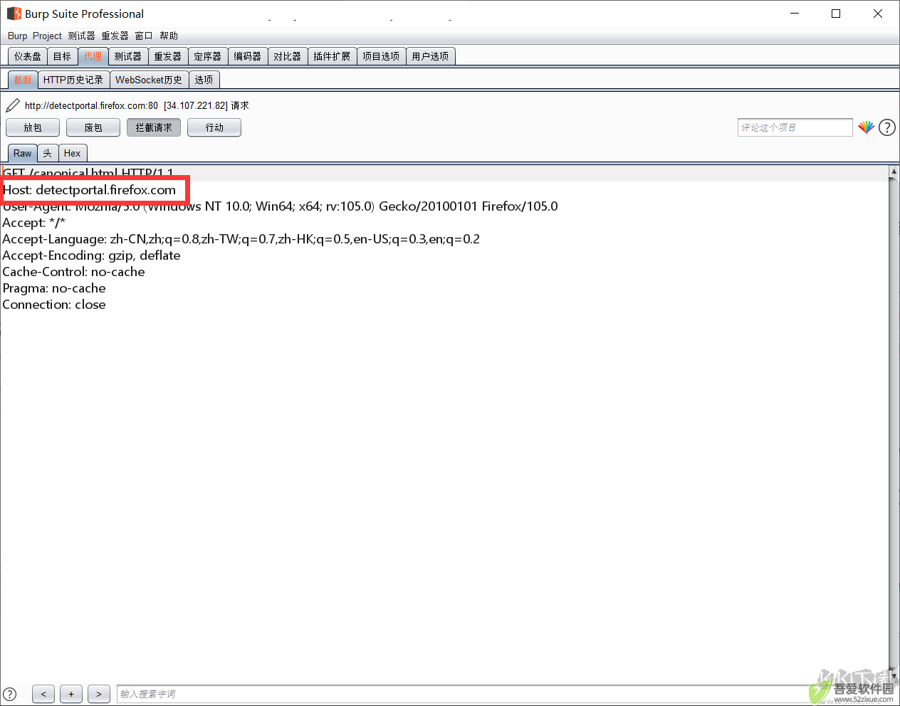 burp suite professional