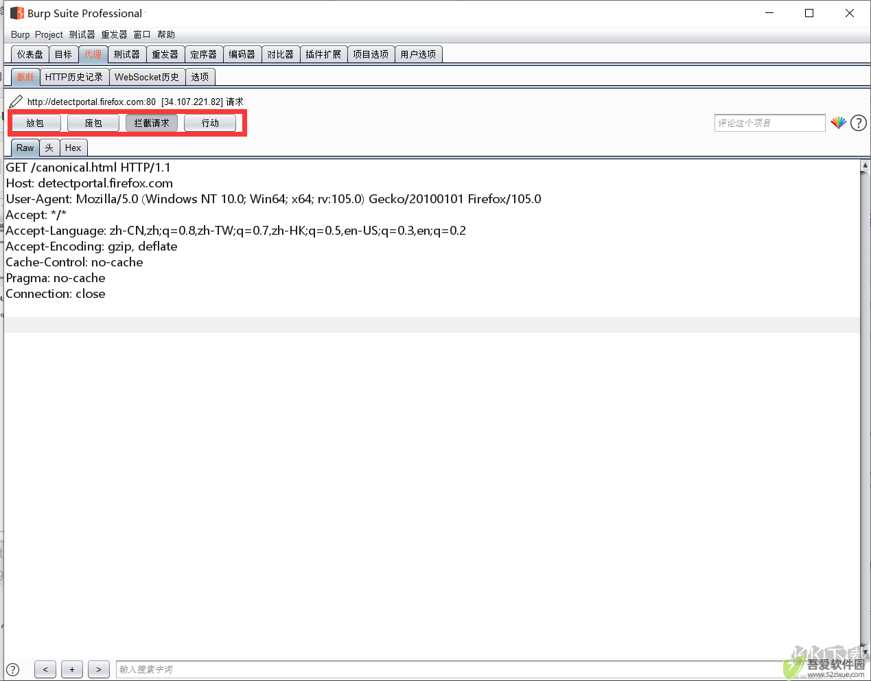 burp suite professional