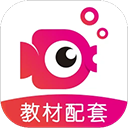 鲤鱼辅导 v7.8.1安卓版
