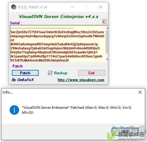 visualsvn server