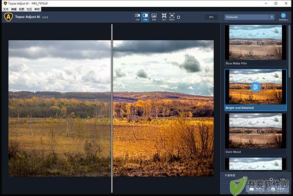 topaz adjust ai