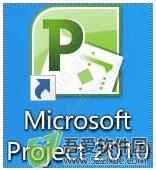 microsoft project V2010专业版