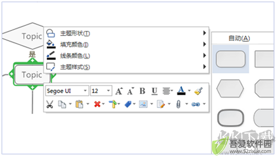 mindmanager