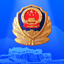 西藏公安政务服务平台 v1.1.1安卓版