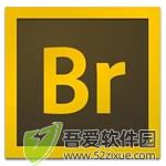 Adobe Bridge cs5 v15.1.0