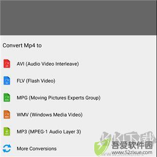 Video Converter