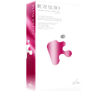Retas Studio(二维动画制作软件) v6.5.8