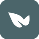 青藤之恋 v5.29.5