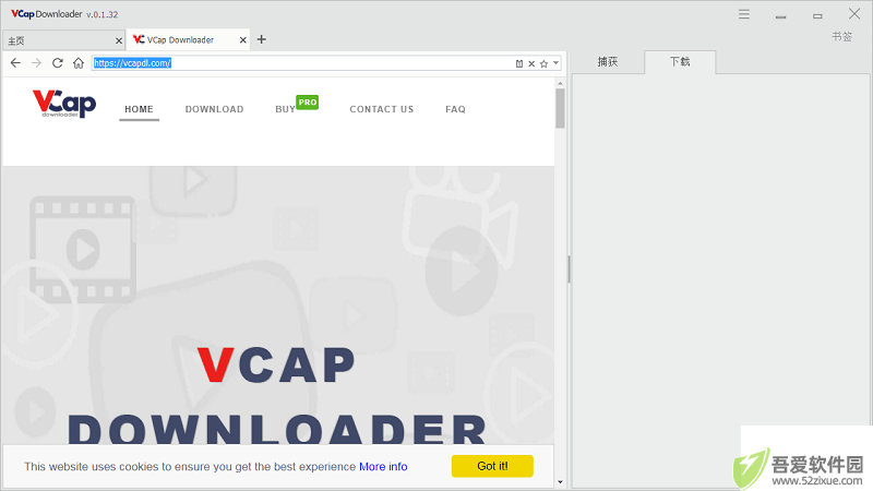 vcap downloader官网版