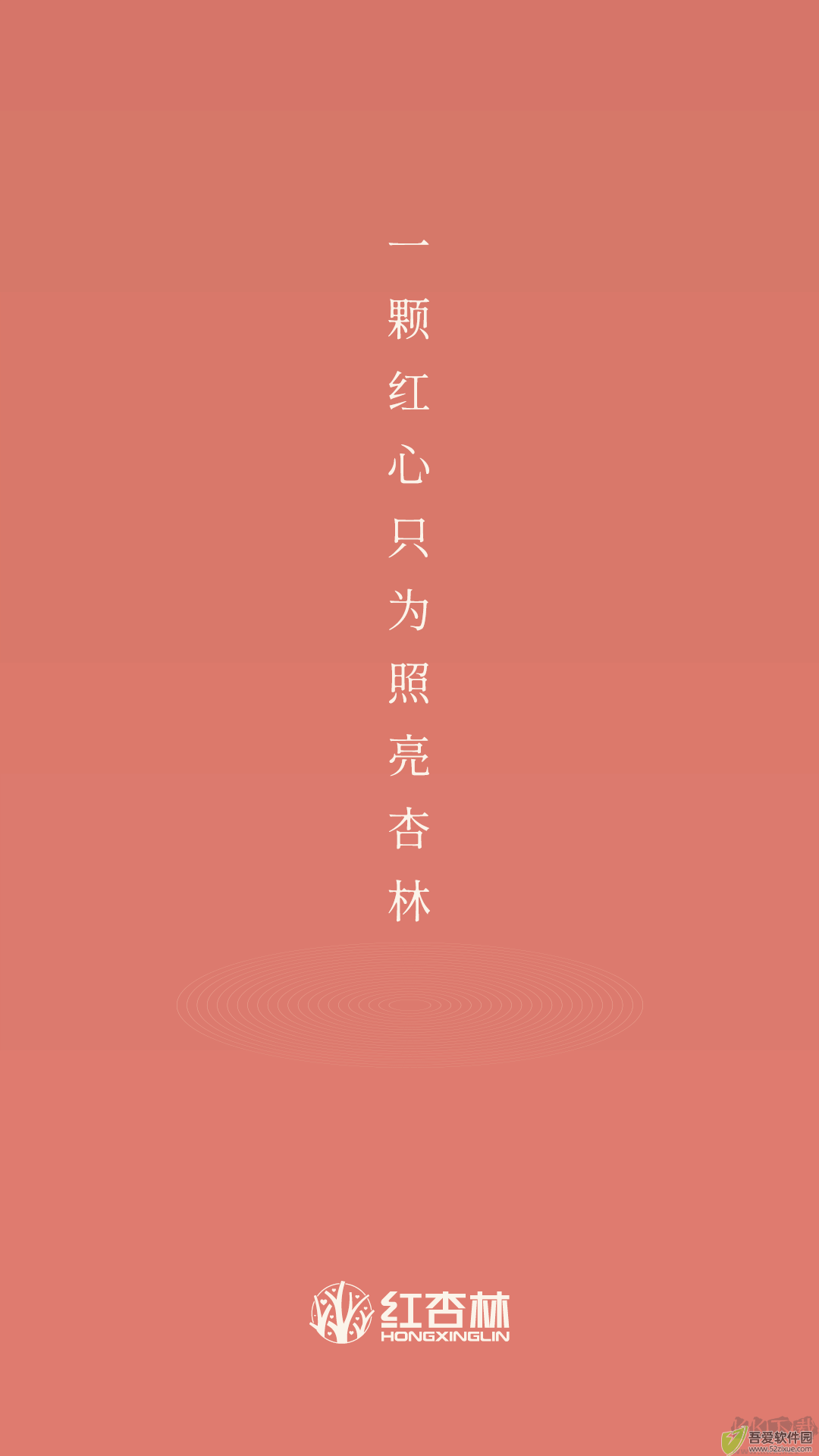 红杏林